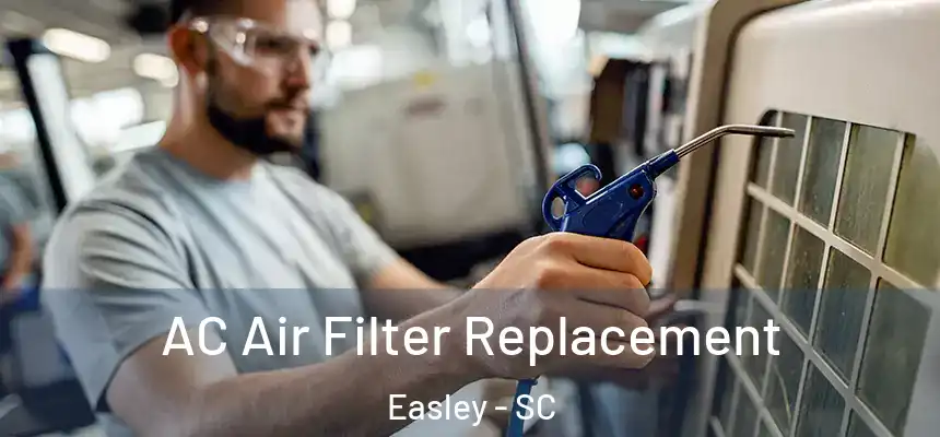  AC Air Filter Replacement Easley - SC
