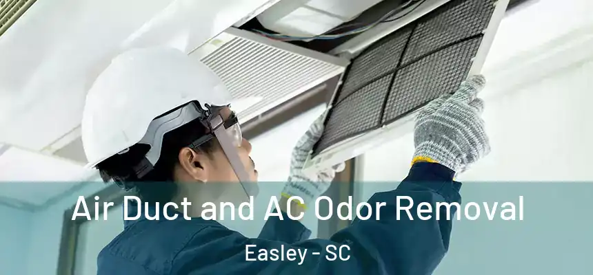  Air Duct and AC Odor Removal Easley - SC