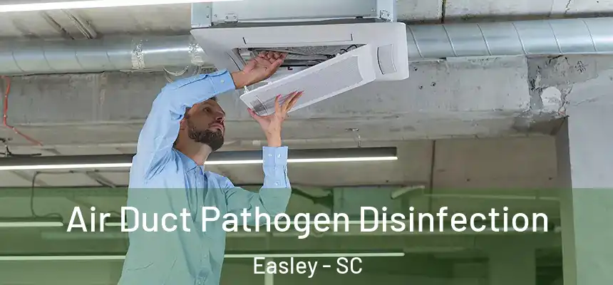 Air Duct Pathogen Disinfection Easley - SC