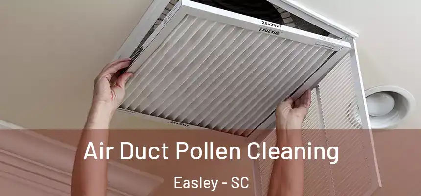  Air Duct Pollen Cleaning Easley - SC