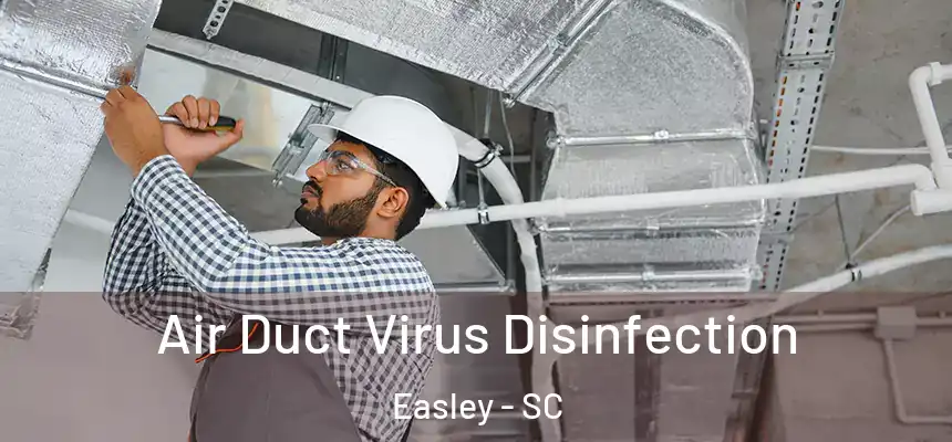  Air Duct Virus Disinfection Easley - SC