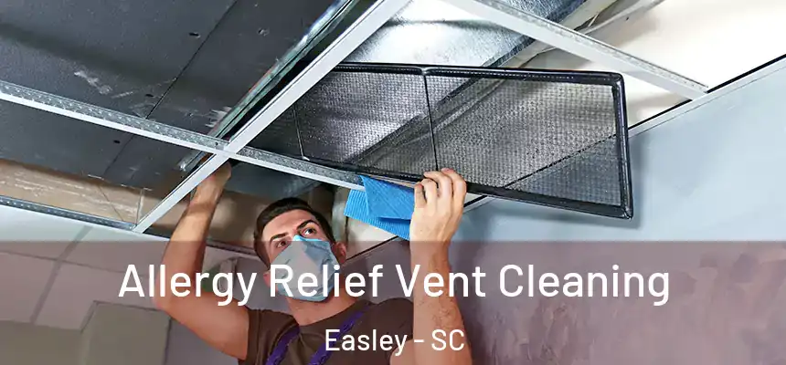Allergy Relief Vent Cleaning Easley - SC