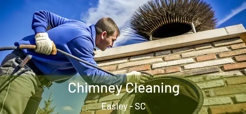  Chimney Cleaning Easley - SC