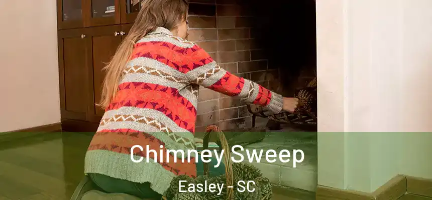  Chimney Sweep Easley - SC