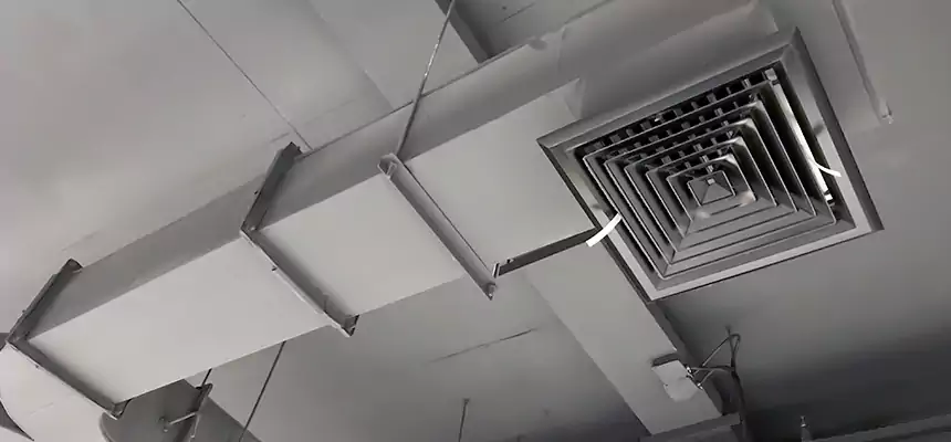 Restorative Allergy Relief Vent Cleaning – Coil, Blower & Housing Detail in Easley