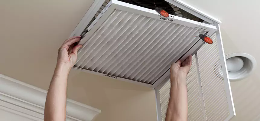Our Insect Removal from Air Ducts Services in Easley, SC