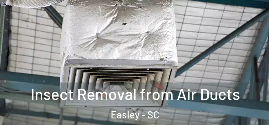 Insect Removal from Air Ducts Easley - SC