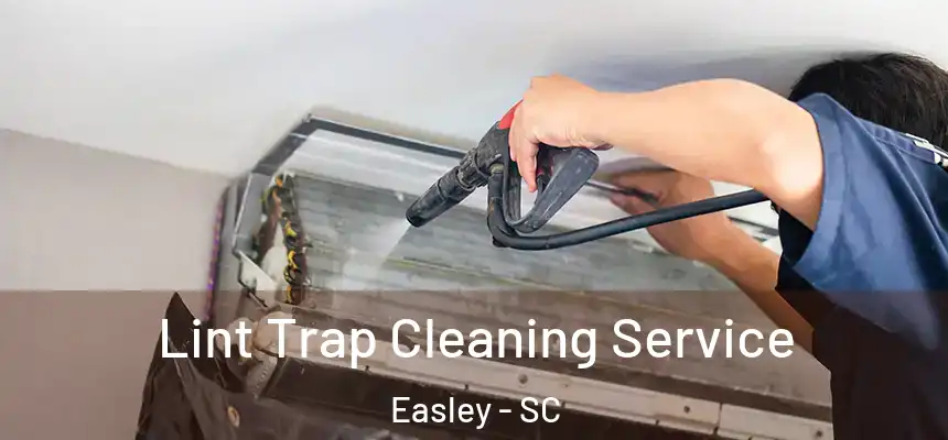 Lint Trap Cleaning Service Easley - SC