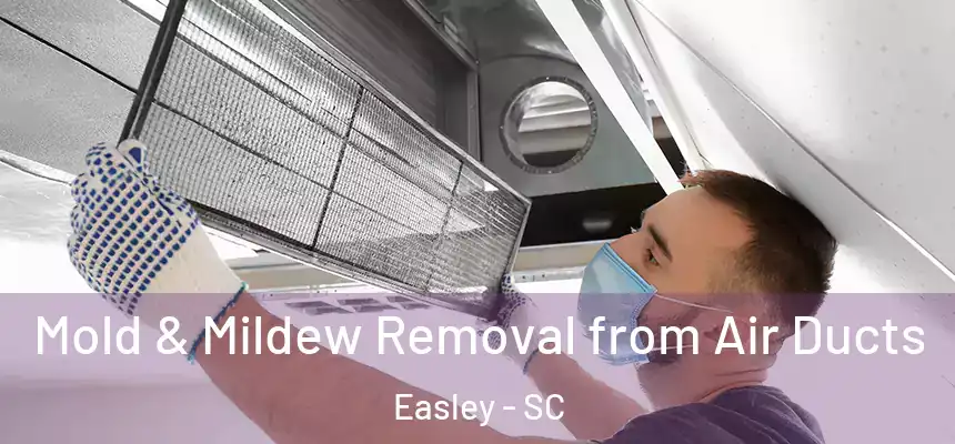  Mold & Mildew Removal from Air Ducts Easley - SC