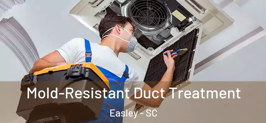 Mold-Resistant Duct Treatment Easley - SC