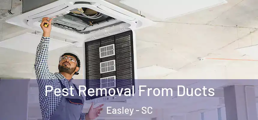  Pest Removal From Ducts Easley - SC