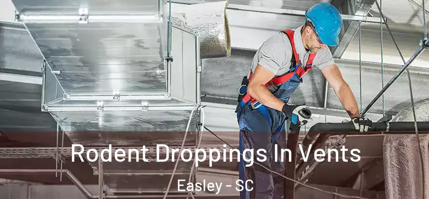 Rodent Droppings In Vents Easley - SC