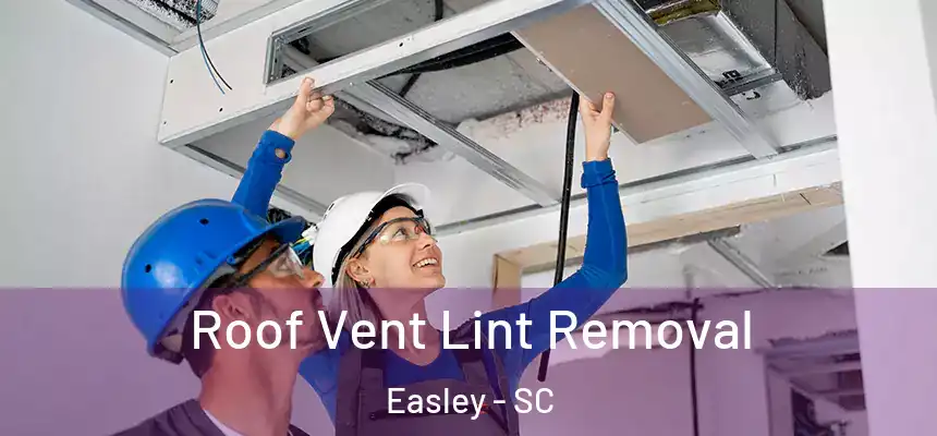 Roof Vent Lint Removal Easley - SC