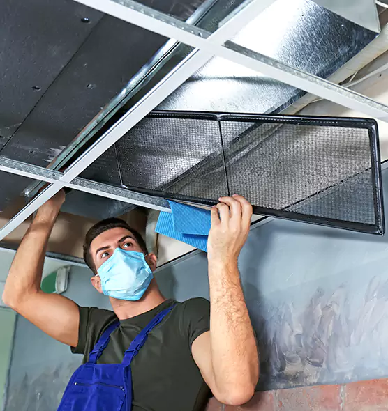About Air Duct Bacteria Removal in Easley