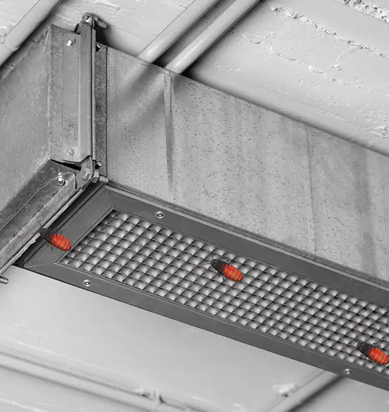 About Air Duct Cockroach Removal in Easley, SC