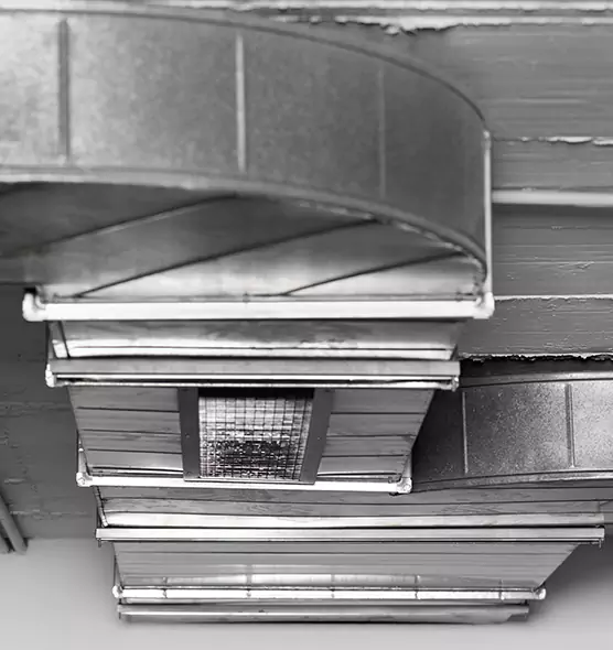 Professional Air Duct Pest Removal in Easley, SC