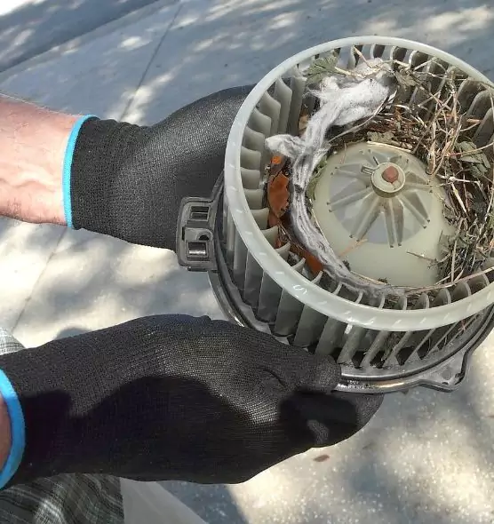 About Air Duct Rat Removal in Easley, SC