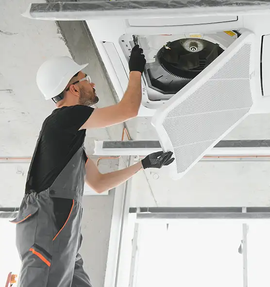 About Air Duct Rodent Removal in Easley, SC