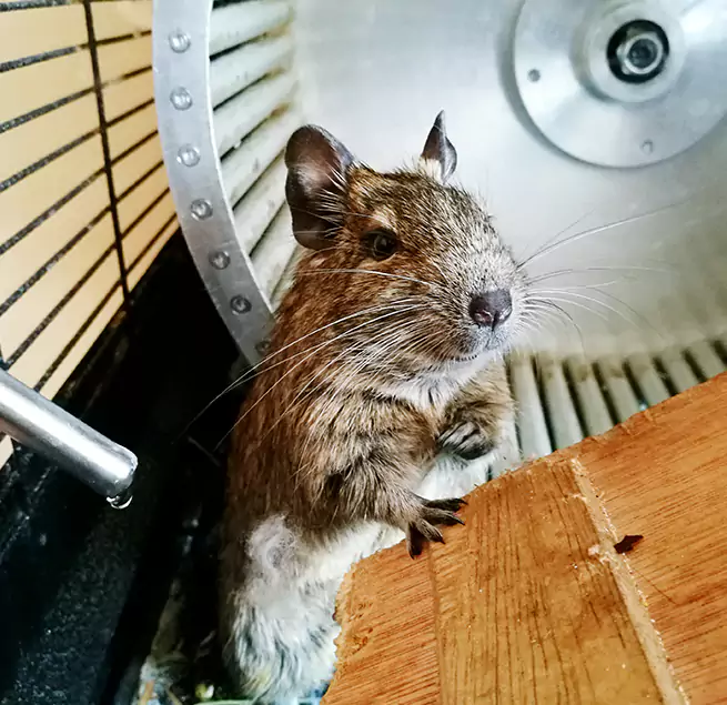 Why Homeowners & Businesses Trust Us Easley, SC?