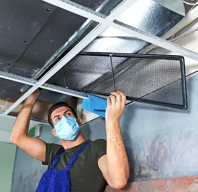 Why Homeowners Businesses Trust Us in Easley, SC