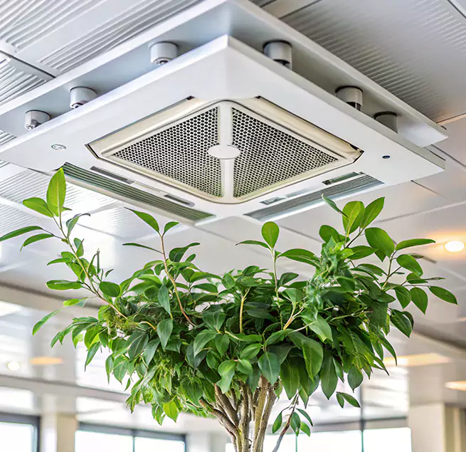 Why Homeowners & Businesses Trust Us in Easley, SC?