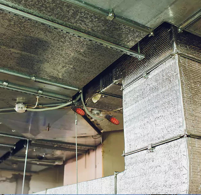 Why Homeowners & Businesses Trust Us Easley, SC?