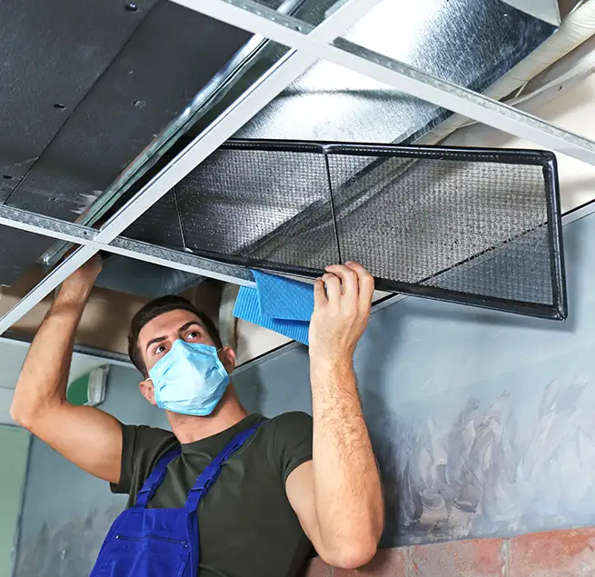 Why Homeowners & Businesses Trust Us in Easley, SC?