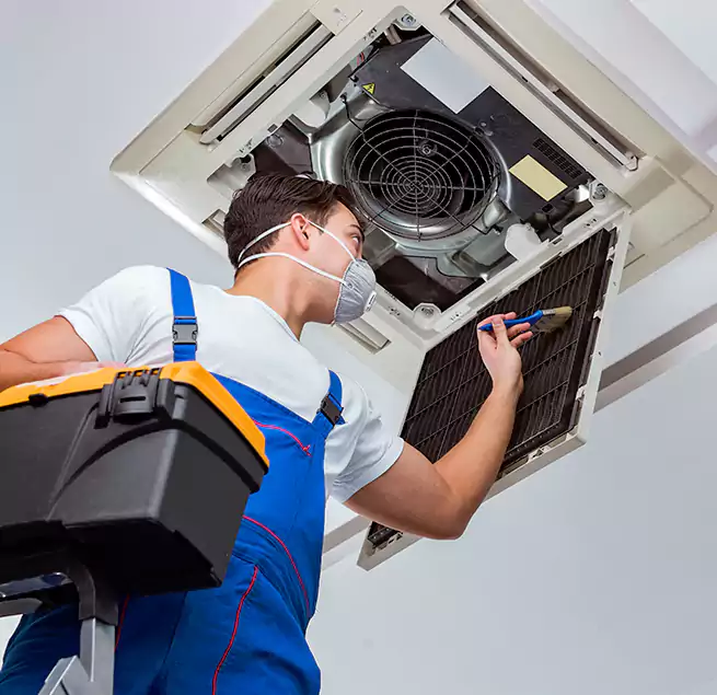 Why Homeowners & Businesses Trust Us in Easley, SC?